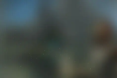 VR-квест «Elven Assassin» от Megazar
