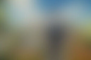 Фотография перформанса Счастливый риелтор от компании Quest Center (Фото 1)